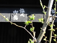 �n�C�L���O�̋G��